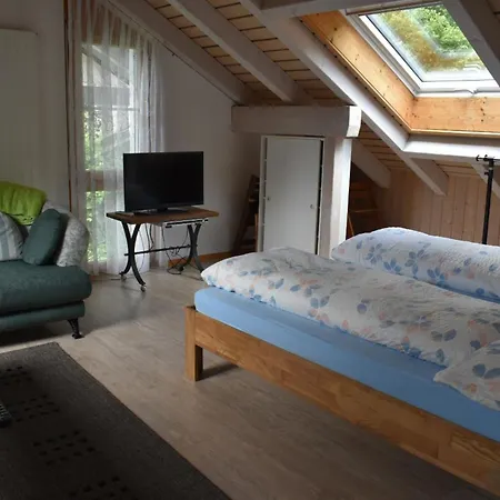 Barmettlenstrasse 26 Appartement-fewo 6-bettwohnung By Interhome