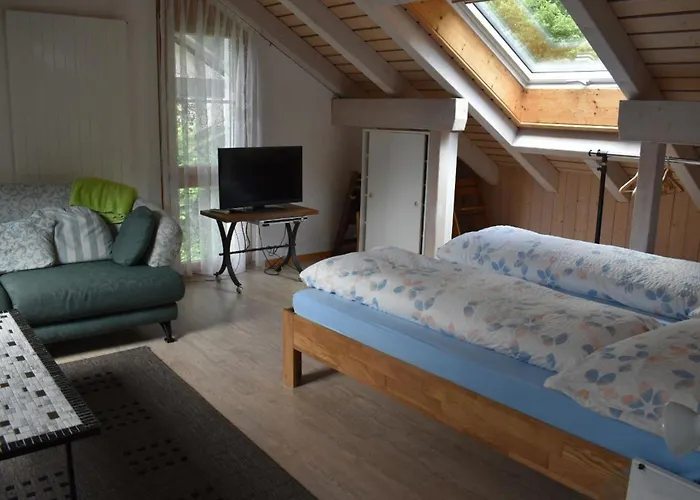 Barmettlenstrasse 26 By Interhome