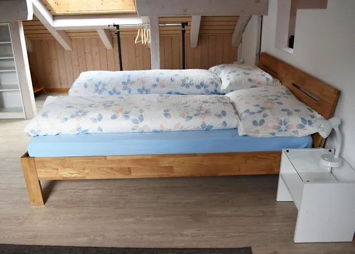 Barmettlenstrasse 26 By Interhome דירה *